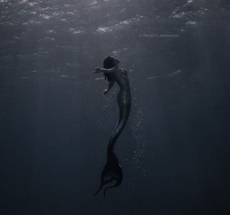 Siren Creature, Evil Mermaids, Siren Core, No Ordinary Girl, Dark Mermaid, Mermaid Photography, Sea Siren, Siren Mermaid, Mermaid Aesthetic