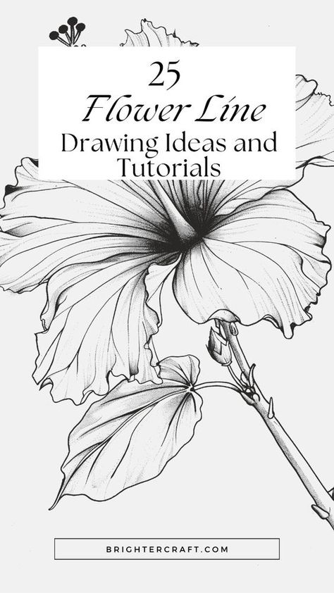 Let your creativity bloom with these vibrant flower line drawing tutorials! 🌼🖍️ Line Drawing Ideas, Flower Line Drawing, Botanical Sketchbook, Easy Drawing Ideas, Pencil Drawings Of Flowers, Bee Drawing, Botanical Line Drawing, Learn Watercolor Painting, Draw Flowers