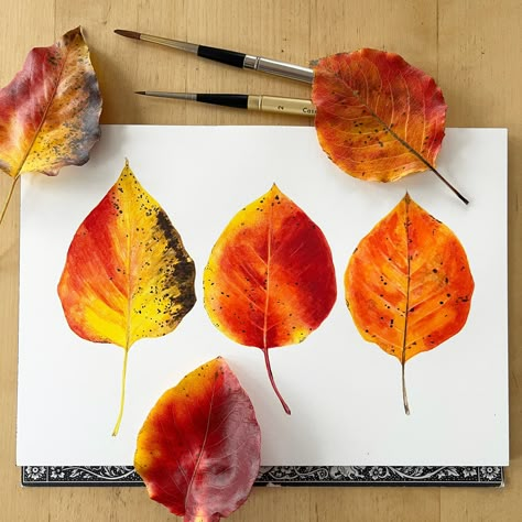 Drawings Of Leaves, Autumn Leaves Watercolor, Leaf Print Art, Watercolor Subjects, Diy Watercolor Painting, Leaf Drawing, Floral Drawing, Diy Watercolor, Autumn Leaf