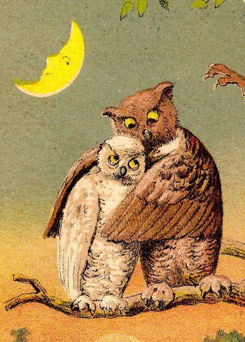 antique owl postcard Owl Wedding, Wise Old Owl, Owl Wisdom, Old Children's Books, Vintage Halloween Images, Owl Head, Handmade Sculpture, Owl Illustration, Wise Owl