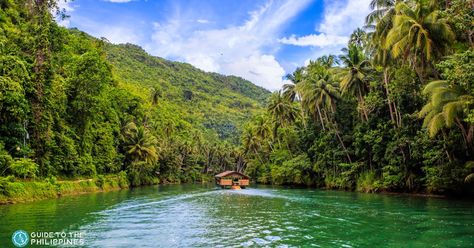 The Loboc River is one of the most popular tourist destinations in Bohol. Since pre-Hispanic times, the Loboc River has played an important role in the lives of the loc River Cruise, Bohol, Holy Week, River Cruises, Free Travel, Tourist Destinations, The Philippines, Tour Guide, The Locals