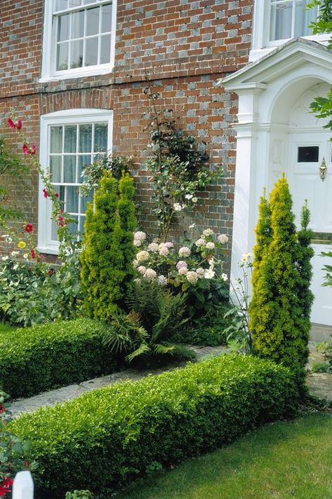 Path edged with small Box (Buxus) hedge leading to house front Bushes For Front Yard, Hedge Ideas, Path Edging, Small Front Gardens, Garden Hedges, Front Gardens, Small Front Yard Landscaping, Decoration Shabby, Front Garden Design