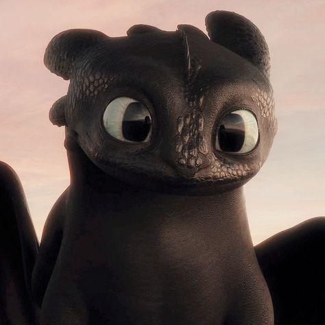 Cute Toothless, Train Dragon, Httyd 3, Dragon Trainer, Night Fury, Hiccup, Toothless, Train Your Dragon, Smash Cake