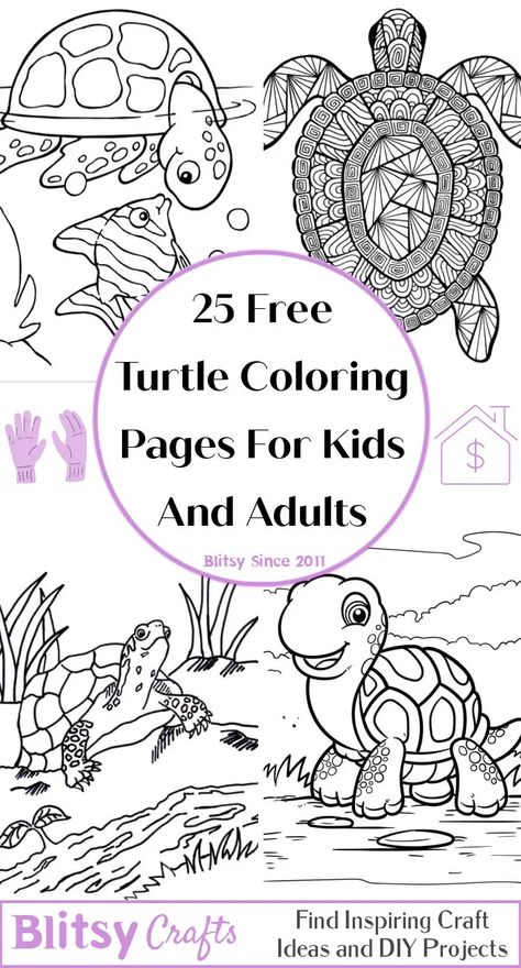 Happy Birthday Turtle, Western Painted Turtle, Whale Coloring, Ninja Turtle Coloring Pages, Turtle Coloring, Whale Coloring Pages, Hand Lettering Alphabet Fonts, Turtle Coloring Pages, Penguin Coloring Pages