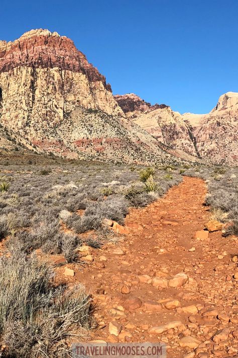 Red Rock Canyon National Conservation area is located just outside Las Vegas, NV. This 4.57 mile round trip hike is considered easy/moderate and is free to hike! The trail boasts large red sandstone mountains, a seasonal creek and the chance of wildlife sightings. Red Rock Las Vegas, Red Rock Canyon National Conservation Area, Las Vagas, Red Sandstone, Red Rock Canyon, Visitor Center, Gorgeous View, Round Trip, Red Rock