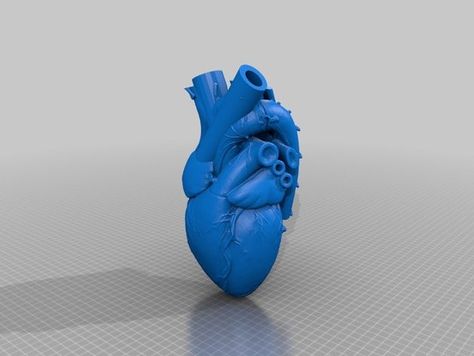 Anatomical Heart Vase, 3d Printed Heart, Egyptian Eye Tattoos, Drukarka 3d, Egyptian Eye, Heart Vase, Vase For Flowers, 3d Printing Art, 3d Printed Jewelry