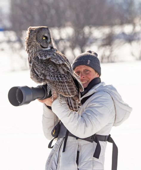 Great Grey Owl Lands on Wildlife Photographer's Camera | PetaPixel Owl Landing, Wild Owl, Owl Species, Grey Owl, Great Grey Owl, Wildlife Photographer, Photographer Camera, Dawn And Dusk, Gray Owl