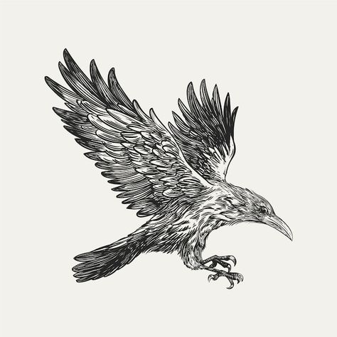 Free vector hand drawn raven flying dra... | Free Vector #Freepik #freevector #bird #drawing #illustration #outline Raven Line Tattoo, Raven Flying Drawing, Raven Drawing Simple, Flying Raven Tattoo, Raven Outline, Raven Drawings, Flying Drawing, Raven Drawing, Raven Illustration