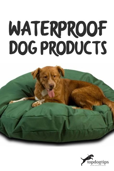 There are lots of waterproof dog products, most geared towards outdoor dogs and active owners. We found the waterproof dog products that are proven to work. Bed Weather, Ticks On Dogs, Waterproof Dog Bed, Medication For Dogs, Outdoor Dog Bed, Waterproof Dog Collar, Dog Tips, Sleeping Mat, Dog Cushions