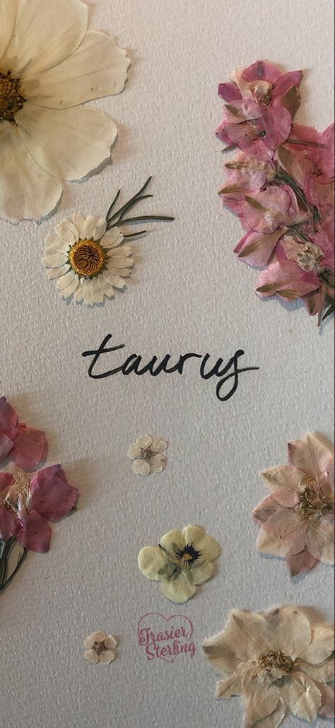 Taurus Wallpaper Aesthetic, Taurus Pictures, Taurus Wallpaper, Taurus Zodiac Quotes, Taurus Art, Earth Fairy, Monkey Illustration, Jelly Wallpaper, Simple Wallpaper