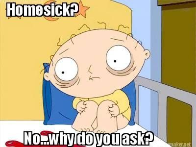 80 Homesick Quotes, Sayings, Images to Deal with Homesickness Homesick Quotes, Sleeping Gif, Stewie Griffin, Walking Dead Funny, Walking Dead Memes, Dead Zombie, Cant Sleep, Fear The Walking Dead, Stuff And Thangs