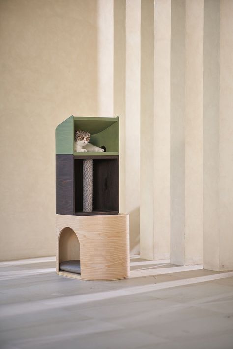 Diy Cat Shelves, Pet Friendly Furniture, Cat Tree Designs, Cat Furniture Design, Cat Gym, Modern Cat Furniture, Cat Wall Furniture, Cat House Diy, Pet Spaces