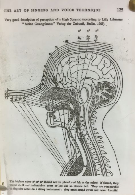 Music Basics, Music Theory Piano, Learn Music Theory, Singing Techniques, Learn Singing, Music Theory Lessons, Vocal Lessons, Piano Music Lessons, Music Theory Guitar