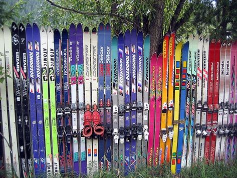 So you're thinking about making the jump from your long straight skis to a pair of shaped skis or as many owners of straight skis... Cool Fence Ideas, Old Skis Ideas, Unique Fences, Water Ski Decor, Ski Designs, Liquor Rack, Ski Chalet Decor, Décor Ski, Retro Skiing