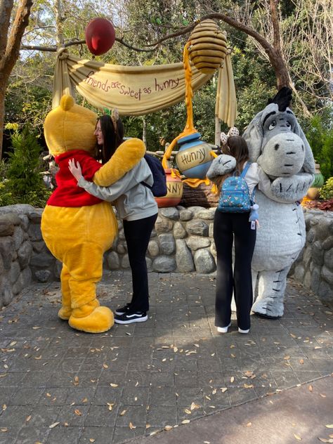 Winnie The Pooh Disneyland, Pooh And Eeyore, Duo Pics, Disney Duos, Pooh Corner, Pooh Winnie, Rockville Maryland, Disney College Program, Retro Disney