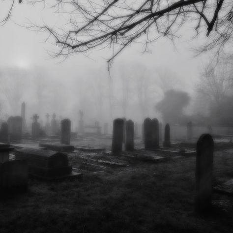 Graveyard Aesthetic Dark, Misty Graveyard Aesthetic, Abandoned Graveyard Aesthetic, Dark Graveyard Aesthetic, Grave Yard Aesthetic, Pretty Graveyard, Foggy Cemetery, Cemetery Aesthetic, Goth Cemetery