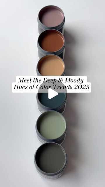 Benjamin Moore on Instagram: "Envelop your space in the moody hues from the #ColorTrends2025 palette, including the Color of the Year 2025, Cinnamon Slate 2113-40. Whether you choose a cider-like brown like Chowning’s Tan CW-195 or a jewel tone like Stained Glass CSP-685, you’ll be setting a dramatic and sophisticated tone throughout your home. Watch above to discover their beauty, then visit our website or a locally owned store to purchase a color sample. #BenjaminMoore #Paint #Home #InteriorDesign #ColoroftheYear" Benjamin Moore Paint Color Palettes, Moody Living Room Paint Color Ideas, 2 Tone Room Paint Bedrooms, Earthy Color Combinations, Whole House Colour Scheme, Sophisticated Paint Colors, Jewel Paint Colors, Cinnamon Slate Color Palette, Benjamin Moore Color Of The Year