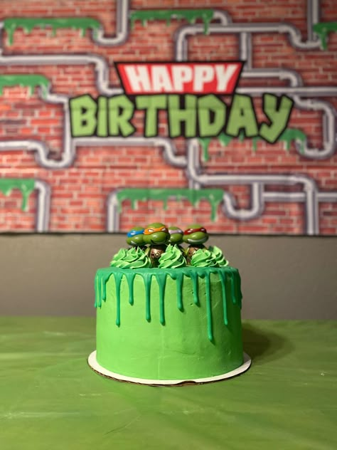 Ninja Turtles Birthday Cake Diy, Tmnt Cake Birthdays Teenage Mutant Ninja, Ninja Turtle Bday Cake, Teenage Mutant Ninja Turtle Cake Easy, Ninja Turtles Smash Cake, Ninja Turtle Smash Cake, Ninja Turtle Theme Cake, Tmnt Birthday Cakes, Ninja Turtles Birthday Cakes