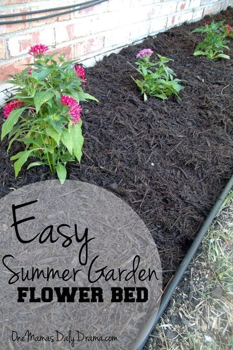 Flower Beds Diy, Budget Flowers, Garden Diy On A Budget, Diy Curb Appeal, Summer Flowers Garden, Raised Flower Beds, Flower Bed Designs, Garden Flower Beds, Diy Outdoor Decor