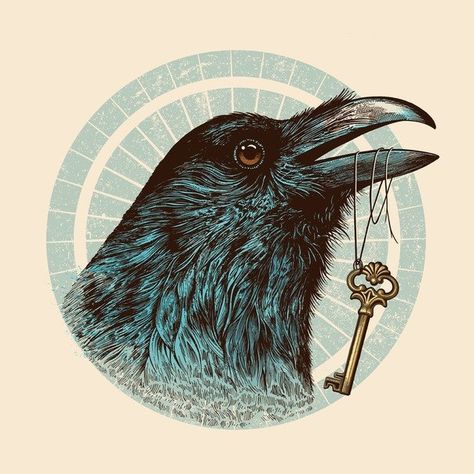 crow with key Illustration Art Nouveau, Animal Illustration Art, Raven Tattoo, Crow Art, Raven Art, Crows Ravens, Bird Artwork, Art Video, Blackbird