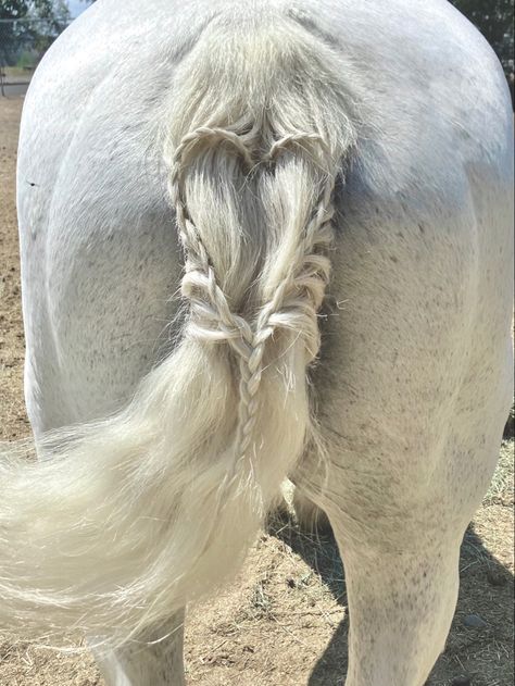 I tried this cute tail braid on Duchess! Horse Tail Hairstyle, Horse Tail Braid, Racing Hairstyles, Mane Braiding, Tail Hairstyles, Braiding Ideas, Horse Braiding, Tail Hairstyle, Tail Braids