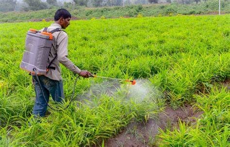 Herbicides And Pesticides, Science Collage, Pesticides For Plants, Agriculture Pictures, Flowery Meadow, Agriculture Photos, Killing Weeds, Agriculture Projects, Caricature Wedding