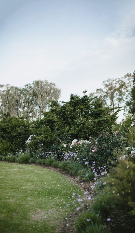 A Rambling Low-Maintenance Garden In Gin Gin, NSW Country Garden Design, Front Garden Design, Cottage Garden Design, Farmhouse Garden, Low Maintenance Garden, Garden Landscape Design, Garden Club, Propagating Plants, Perennial Garden