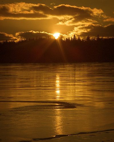 On Golden Pond Golden Time Photography, On Golden Pond, Frozen Pond, Golden Time, Evening Sunset, Time Photography, Destination Photography, Amazing Sunsets, Sun And Stars