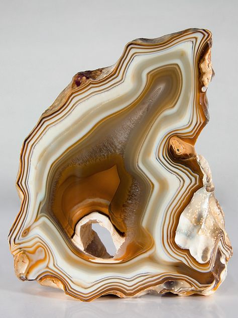 Geode Art, Pretty Rocks, Cool Rocks, Crystal Geode, Beautiful Rocks, Agate Geode, Mineral Stone, Like Animals, Minerals And Gemstones