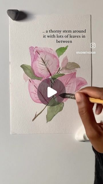 Rashmi Thodkar on Instagram: "What are you painting this weekend ? Here’s a tutorial to paint tropical summery bougainvillea ☀️💕 Save it and Give it a go or send it to someone who would like to paint them 💕  #bougainvillea #bougainvilleawatercolour" How To Draw Bougainvillea, Bogenvilla Flower Painting, Bougainvillea Illustration, Bougainvillea Painting, Bougainvillea Watercolor, Fruit Paintings, Crayon Painting, Tattoo Shoulder, Flower Tattoo Shoulder