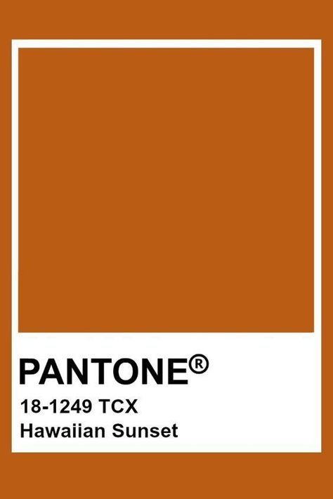 Marmalade Aesthetic Color, Pantone Tcx Orange, Pantone Avocado, Orange Pantone Color, Orange Pantone, Pantone Orange, Pantone Tcx, Pantone Colours, Pantone Color Chart