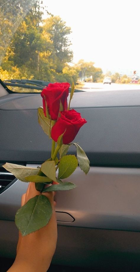 Car And Flowers Aesthetic, Rose In Car Snap, Flowers In Car Snapchat, Fake Rose Snap, Fack Snap Streak, Flower Snap Streaks, Rose Snaps Snapchat, Rose Snap Story, Rose Snapchat Stories