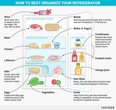 How to organize your refrigerator graphic Organizing Business, Kitchen Organization Pantry, Refrigerator Organization, Refrigerator Storage, Fridge Organization, Natural Preservatives, Home Organisation, Fridge Freezers, How To Organize