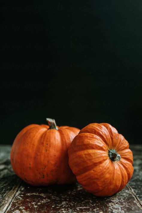 Pumpkin Photography, Artifact Art, Life Drawing Reference, Pumpkin Photos, Simple Object, Still Photography, Pumpkin Art, Food Drawing, Art Inspiration Painting