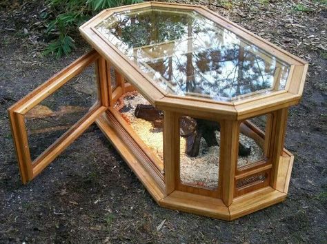 Reptile Tank Ideas, Diy Reptile Enclosure, Terrarium Easy, Snake Cages, Diy Snake, Diy Reptile, Bearded Dragon Enclosure, Bearded Dragon Cage, Snake Enclosure