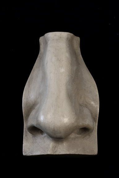 Clay Nose Sculpture, Nose Sculpture, Greek Nose, Sculpture Reference, Drawing Models, Clay Model, Male Figure Drawing, Anatomy Sculpture, Plaster Cast