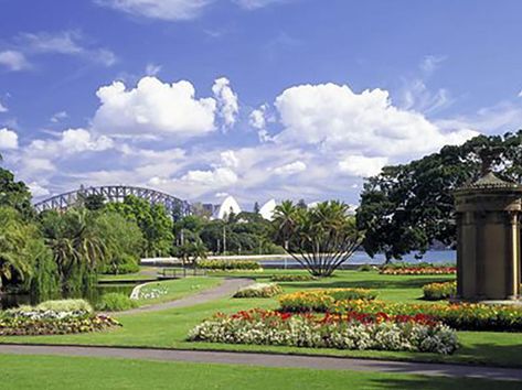 Royal Botanical Gardens – Sydney, Australia Sydney Landscape, Royal Botanic Gardens Melbourne, Sydney Gardens, Royal Botanic Gardens Sydney, Gardens By The Bay Singapore, Centennial Park Sydney, Sydney Skyline, Royal Botanic Gardens, Australia Sydney