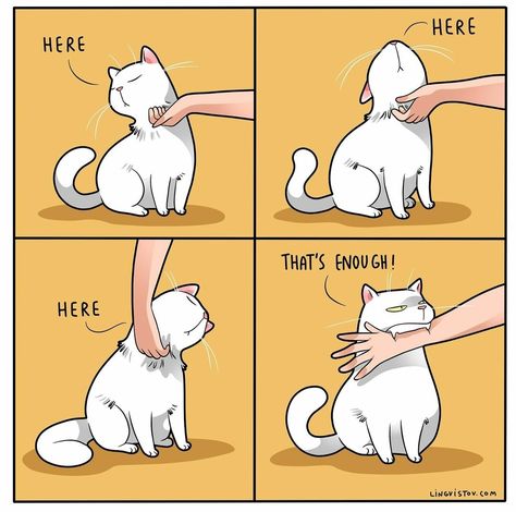 Diy Chat, Cat Jokes, Cat Comics, Owning A Cat, Cute Cats Photos, Cat Parenting, Cute Cats And Dogs, Cat Owners, Cat Drawing