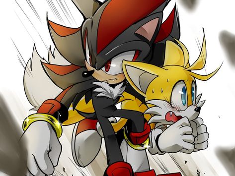 Sonic And Tails, Character Sheet Template, Sonic Funny, Sonic Fan Characters, Blue Hedgehog, Sonic Adventure, Hedgehog Art, Transformers Artwork, Sonic And Shadow