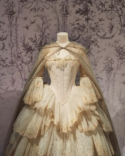 Ball Gowns Victorian, Dior Dresses, Dior Gown, Vintage Ball Gowns, 18th Century Costume, Century Dress, Dior Dress, Dresses Aesthetic, Old Dresses