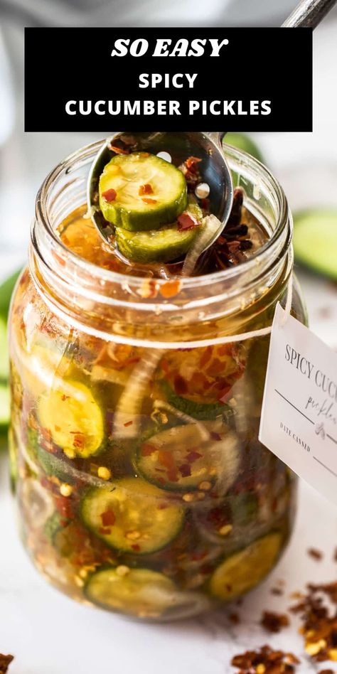 Canning Pickling Cucumbers, Best Pickled Cucumber Recipe, Pickling Cucumbers Spicy, Small Cucumber Pickles, Cucumber Pickle Recipes Sweet And Spicy, Pickle Recipes Spicy, Pickle Cucumber Recipes Vinegar Easy, Cold Pickled Cucumber, Fresh Cucumber Pickles