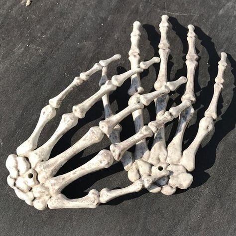 Fake Skeleton, Halloween Outside Decorations, Human Hand Bones, Pirate Halloween Decorations, Dnd Cosplay, Life Size Skeleton, Haunted House Halloween Party, House Diorama, Halloween Skeleton Hand