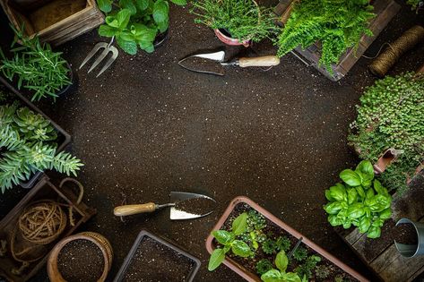 Gardening frame, tools and plants on soil background Gardening Background, Soil Background, Plant Deficiencies, Origami Garland, Frame Composition, Science Background, Soil Testing, Home Garden Design, Healthy Lifestyle Food