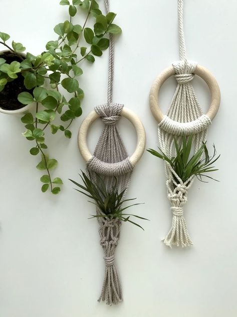 Macrame For Air Plants, Macrame Airplant Holder, Macrame Sloth, Air Plant Macrame Hanger Diy, Macrame Air Plant Hanger Diy, Air Plant Macrame, Macrame Air Plant Hanger, Cute Macrame, Air Plant Hanger