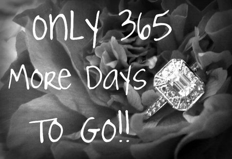 only 365 days to go 365 Days Until Our Wedding, 365 Days, Wedding Themes, Wise Words, Big Day, Our Wedding, Wedding Ideas, Quotes, Quick Saves