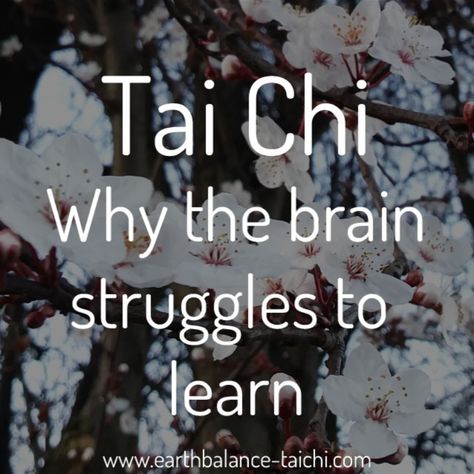 Somatic Experience, Tai Chi Moves, Managing Expectations, Learn Tai Chi, Tai Chi For Beginners, Over 50 Fitness, Chi Gong, Qigong Exercises, Tai Chi Exercise