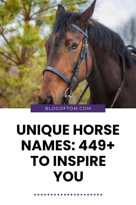 Looking for that perfect horse name that starts with 'C'? You're in luck! Our list includes over 449 fabulous horse names that are truly special and filled with personality. Whether your horse is adventurous, silly, or cuddly, we have charming names you'll love. From classic picks like Cinnamon to creative gems like Cosmic, explore names that can match any horse's unique spirit. Check out these 2024 favorites now, and find the name that said ‘wow’ to you and your horse! Save these ideas and watch your horse thrive! Unique Horse Names, Best Horse Names, Badass Names, Male Horse, Female Horse, Powerful Names, Elegant Names, Catchy Names, Classic Names