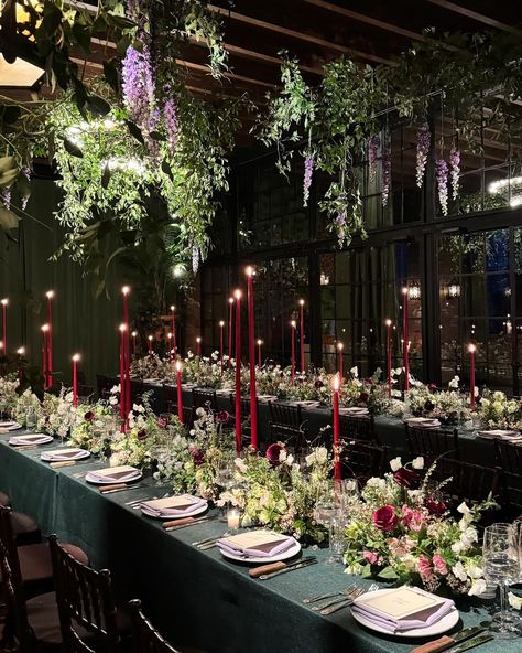 Buds of Brooklyn (@budsofbrooklyn) • Instagram photos and videos Love Is A Verb, Hanging Vines, Flower Installation, Floral Design Studio, Delphinium, Taper Candles, Mimosa, The View, Wedding Events