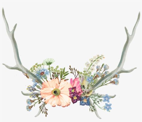 Eyes Drawing Tumblr, Flower Crown Drawing, Woods Aesthetic, Antler Flower, Tumblr Flower, Crown Drawing, Tumblr Drawings, Drawing Png, Flowers Drawing