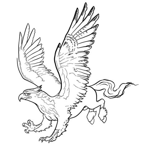 How to draw a Hippogryph Mythical Creatures Drawings, Griffin Design, Graphic Novel Illustration, Easy Drawing Guides, Drawing Guides, Monster Drawing, Laser Ideas, Guided Drawing, Easy Drawing